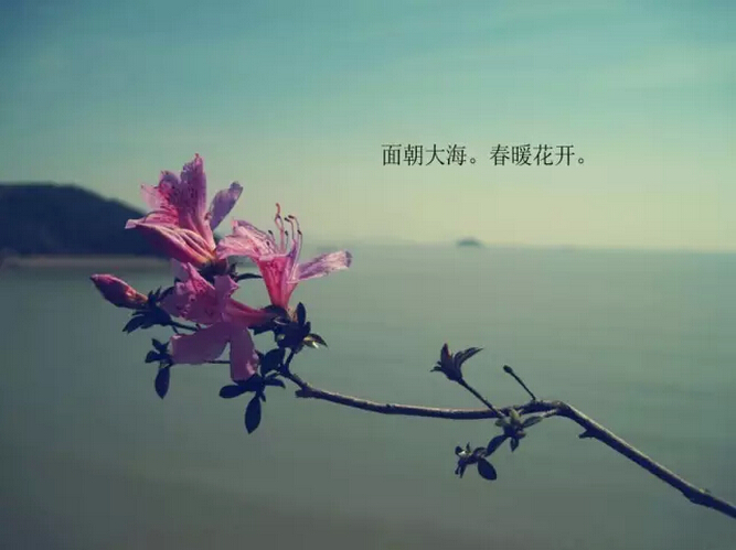 人间四月天！四月份最适合旅行的国家