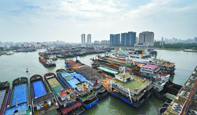 10月17日,大批船只停靠在海口新港码头避风.
