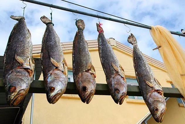 "咸鱼再无翻身之日了","咸鱼不仅没有梦想,连基本的食物功能也丧失